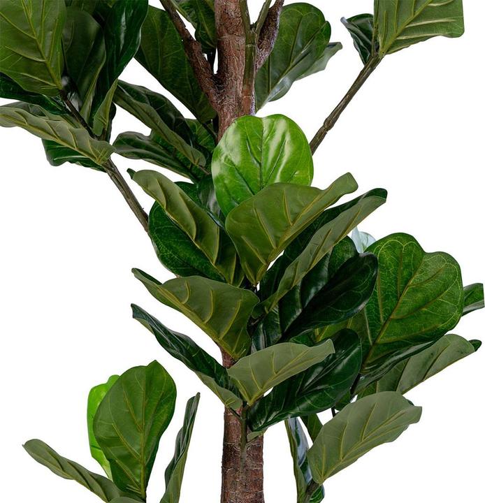 Actual product image House Nordic Fiddle (190 cm)