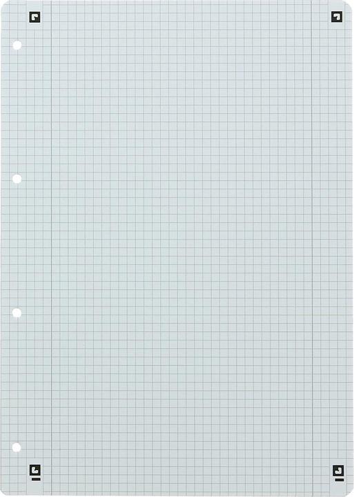 Actual product image Oxford Ring binder inserts, DIN A4, squared, 50 sheets