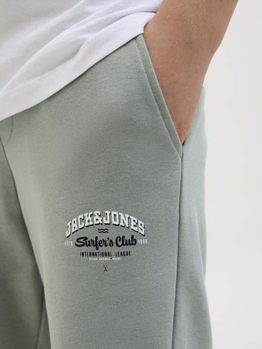 Actual product image Jack & Jones Jpstlogo Sweat Shorts 2 Col Sn Gms Jnr
