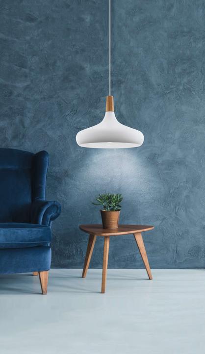 Image du produit EGLO Sabinar (E27)