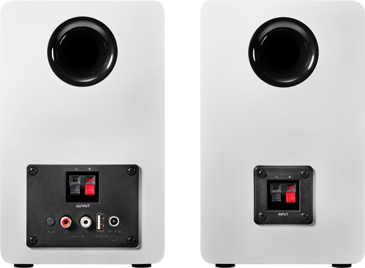 Image du produit Audio-Technica AT-SP3X (1 paire, 30 W)