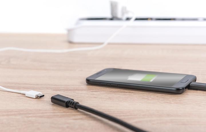 Produktbild Digitus Type-C to C (0.70 m, USB 3.1, 100 W)
