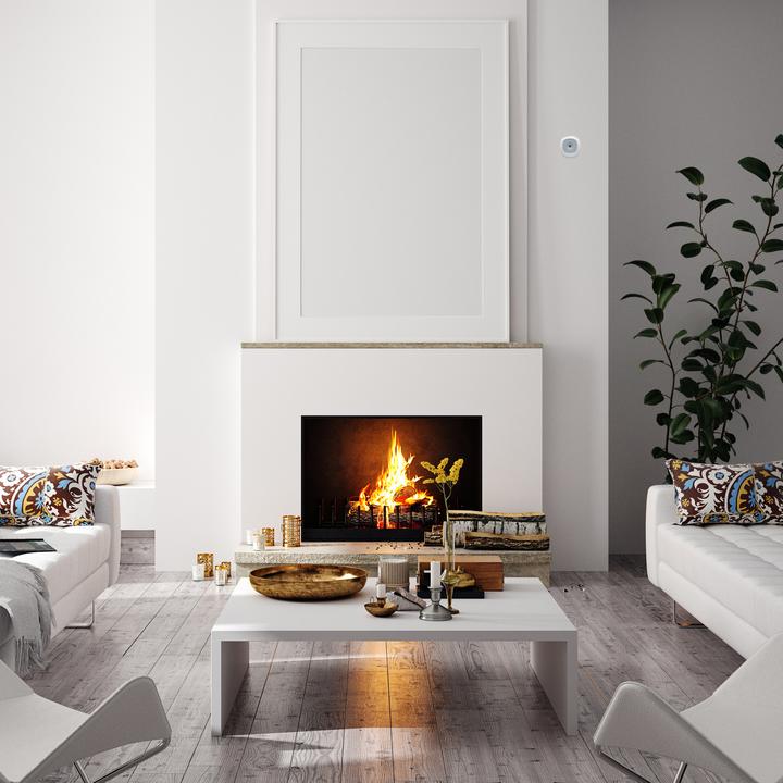 Produktbild Alecto Kohlenmonoxiddetektor