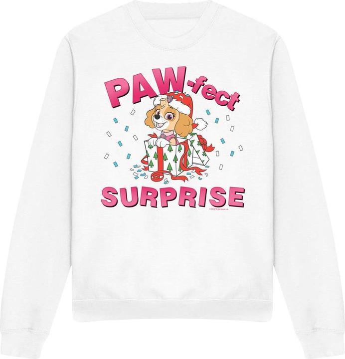 Produktbild Paw Patrol The PawFect Christmas Gift Sweatshirt (XL)