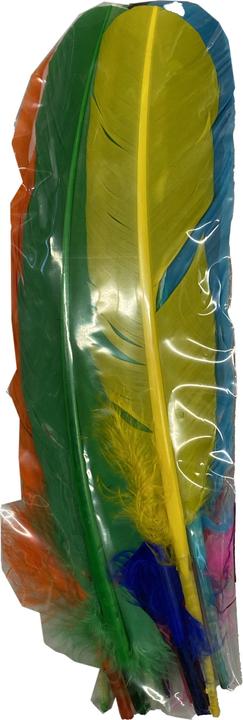 Actual product image Folia Indian feather