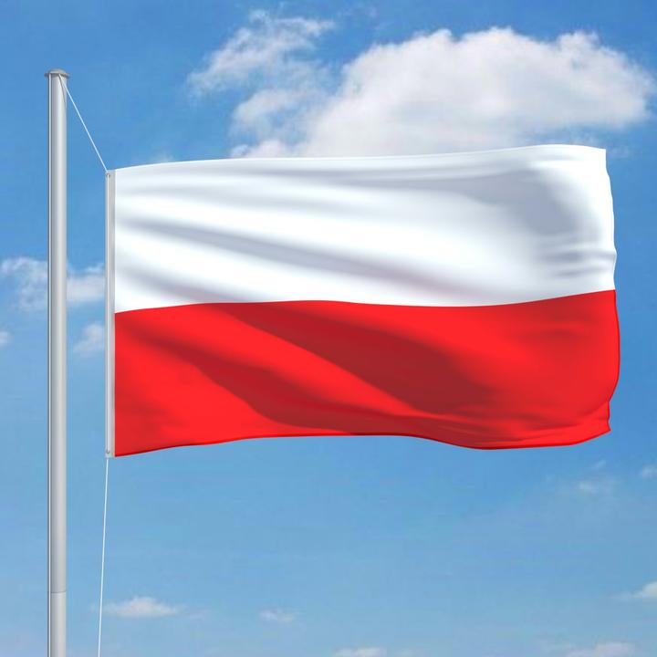 Actual product image vidaXL Polnische Flagge (90 x 150 cm)
