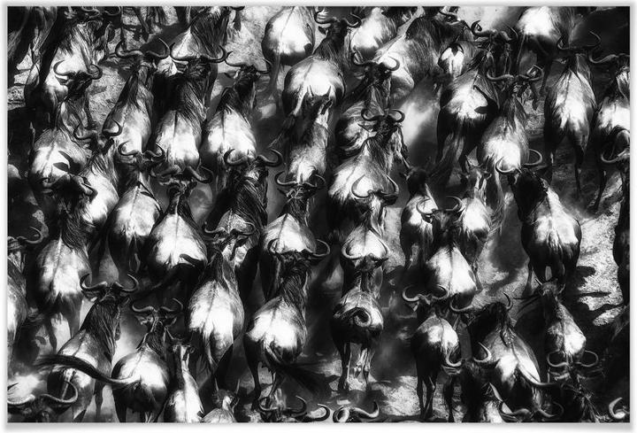 Produktbild Trenddeko Alnaser - Grosse Flucht (100 x 70 cm)
