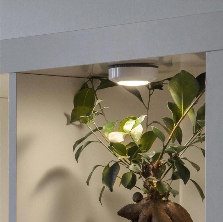 Image du produit Star Trading Pack de 3 LED Nightlight Functional