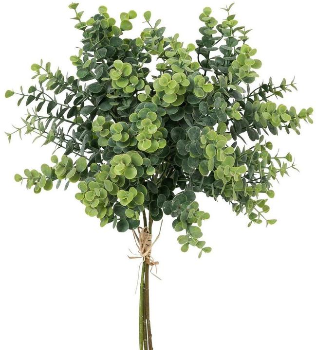 Image du produit Botanic-Haus Kit de botte d'eucalyptus (40 cm)
