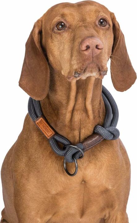 Produktbild Trixie Be Nordic Zug Stopp (M, Hund, Spazieren)