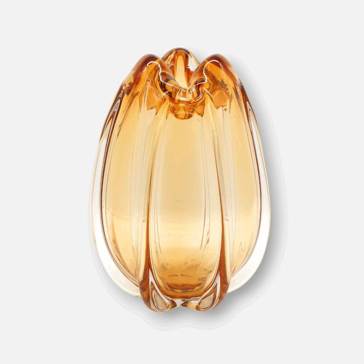 Albicocca, Marrone ambrato