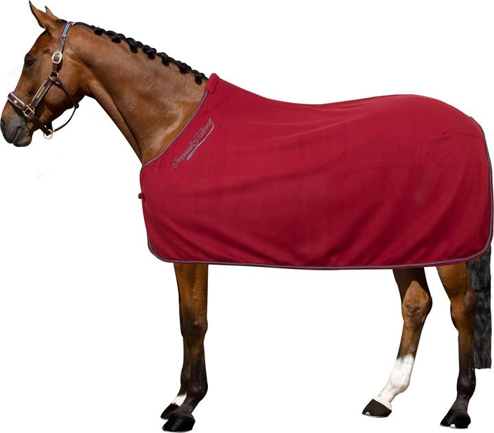 Image du produit Imperial Riding Classic (165 cm)