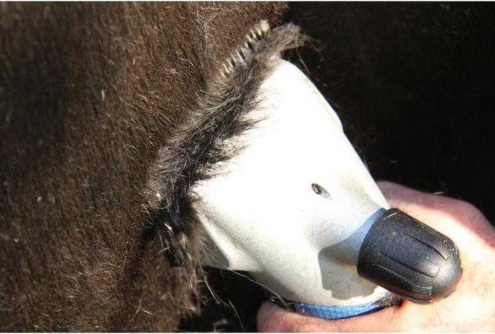 Actual product image Heiniger Clipper Xplorer with 1 battery