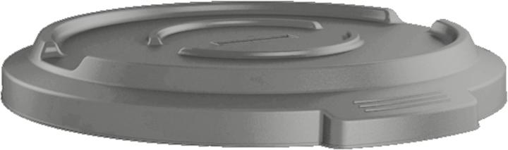 Actual product image Rotho TITAN lid (85 l)