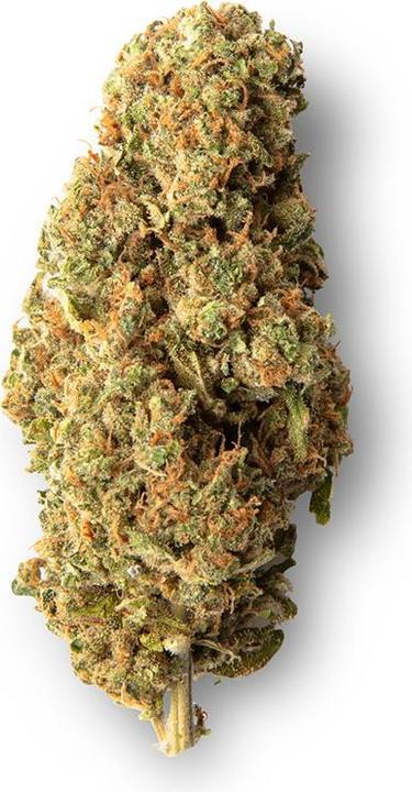 Produktbild Sweed Super Silver Haze (10 g, Indoor)