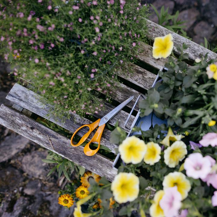 Image du produit Fiskars CREA 1075033 (21 cm)