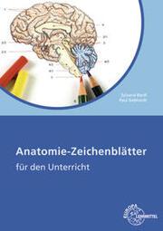 Produktbild Anatomie Zeichenblätter Arbeitsheft (Deutsch, 2016)