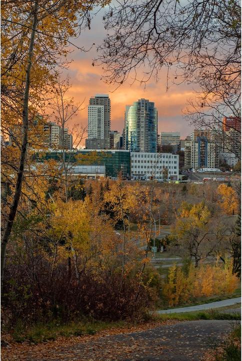 Image du produit Tokina 56mm 1:1.4 ATX-M Sony E-Mount (APS-C) Plus (Sony E, APS-C / DX)