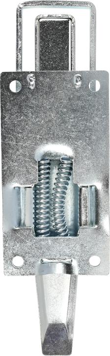 Actual product image Benson Lid lock + spring