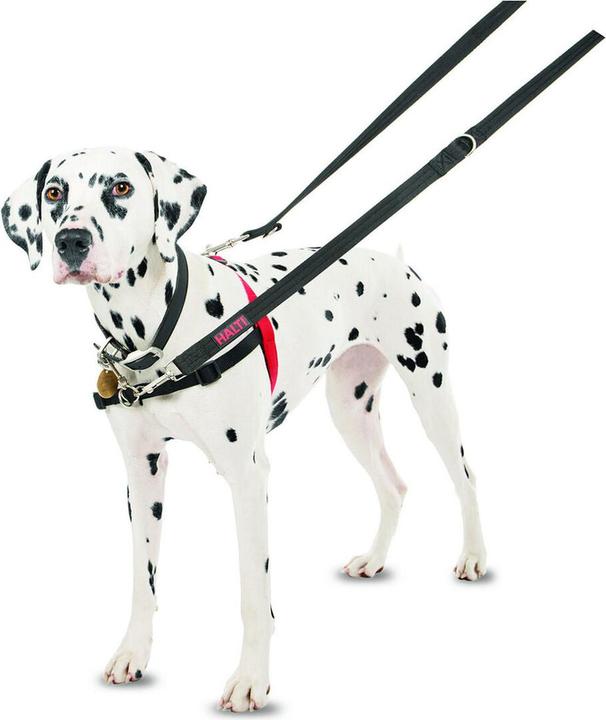 Produktbild Company of Animals Halti Antizug M Front Control (M, Hund, Allgemein, Spazieren)