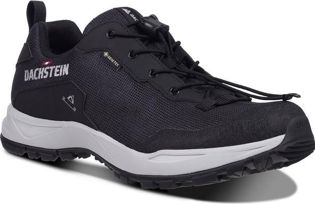 Image du produit Dachstein Delta Ascent GTX (41)