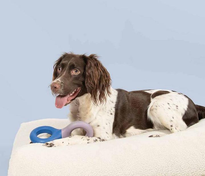 Immagine prodotto Coockoo Gummispielzeug Doodle (Gioco da masticare per cani)