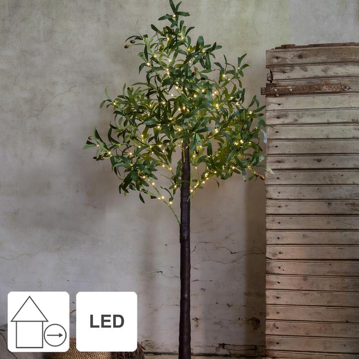 Image du produit Star Trading Arbre de décoration Olivec, 178 LED, 180 cm, vert (56 lm, IP44)