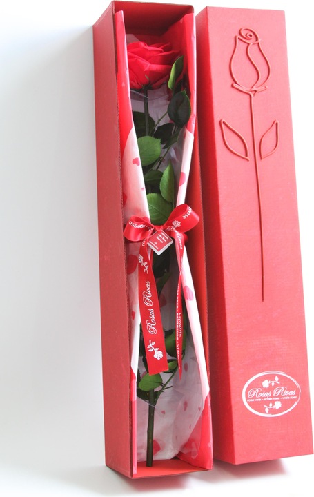 Actual product image Rosas Rivas Stem Rose Premium, 56 cm