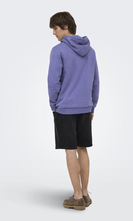 Produktbild Only & Sons Onsceres Hoodie Sweat Noos (XL)