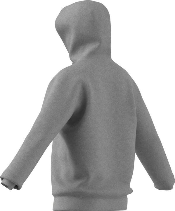 Produktbild Adidas FL Recbos Hoodie (M)