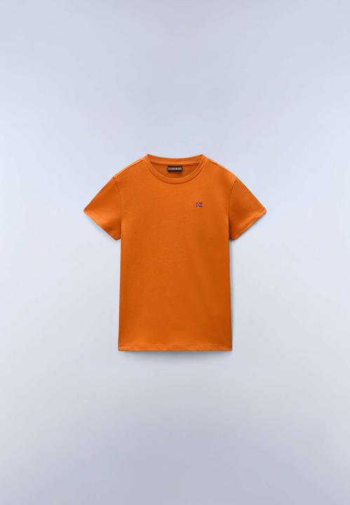 Orange pumpkin