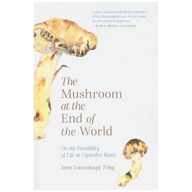 Thumbnail - The Mushroom at the End of the World, Fachbücher von Anna Lowenhaupt Tsing