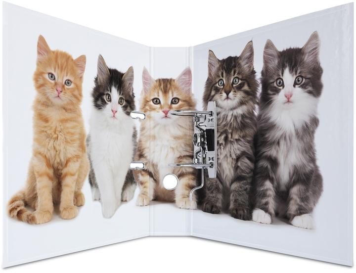 Produktbild HERMA Ordner A4 Motiv (A4, 70 mm, 1 Stk.)