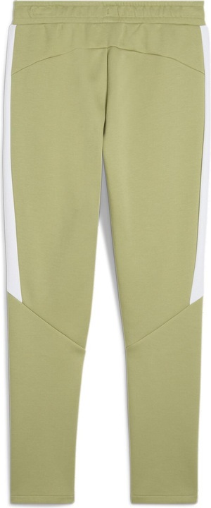Actual product image Puma teamEVOSTRIPE Pants (L)
