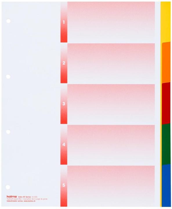 Produktbild Kolma Register A4 XL strong blanko 5-teilig farbig