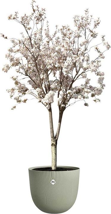 Produktbild Elho Sereh (39 x 33 cm)