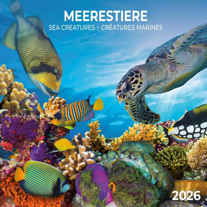 Meerestiere 2026 (30 x 30 cm, Harter Einband, Deutsch, Spanisch, Französisch, Tschechisch, Polnisch, Niederländisch, Italienisch, Englisch)
