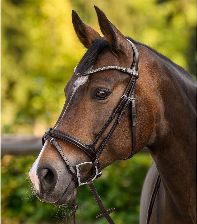 Immagine prodotto Waldhausen X-Line Shine