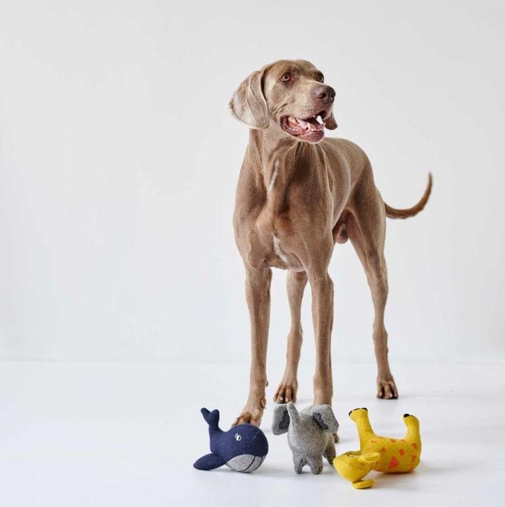Produktbild Hunter Hundespielzeug Eiby Wal (Plüschspielzeug Hund)