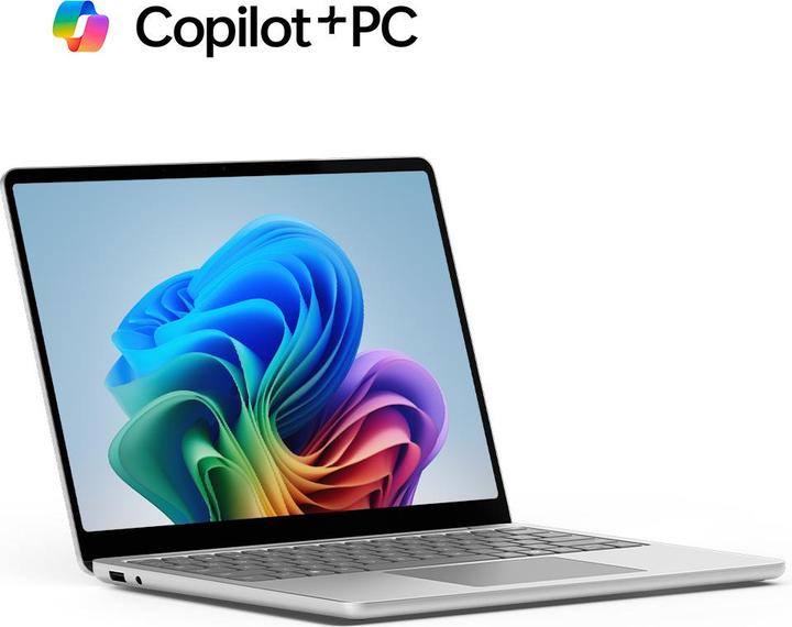 Image du produit Microsoft Surface Laptop 13" (13", 1000 Go, 24 Go, DE, Snapdragon X Plus X1P-42-100)