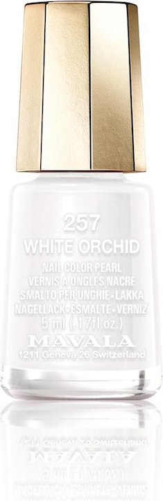 White Orchid