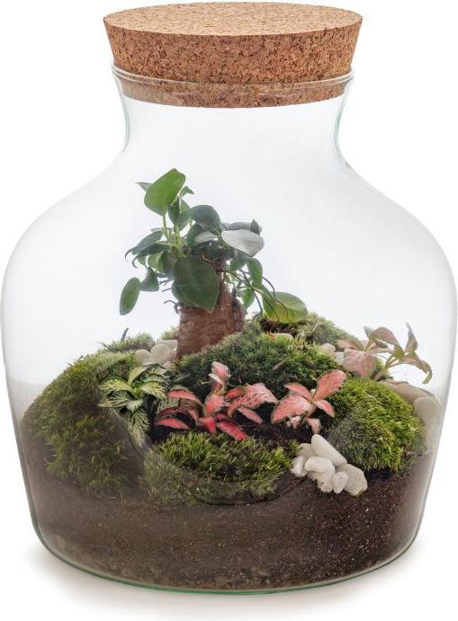 Produktbild Green Bubble DIY-Flaschengarten (21 cm)