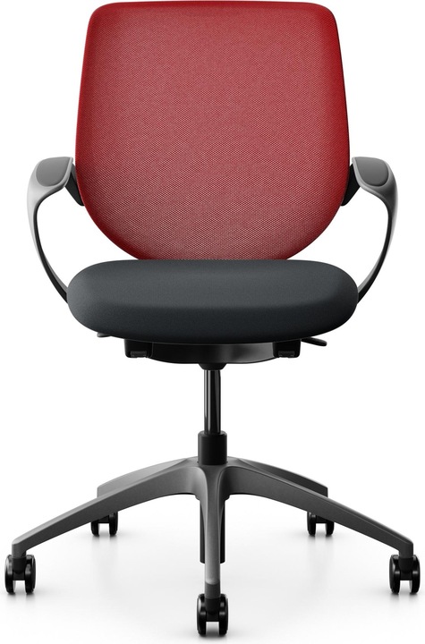 Actual product image Giroflex Netzrücken mit Armlehnen 313