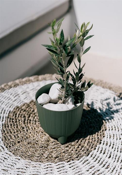 Immagine prodotto Edco Vaso Ryfo D13cm verde