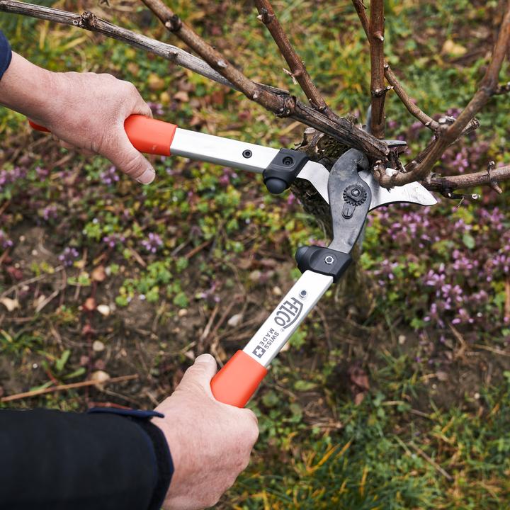 Produktbild Felco 211-40 Astschere, 40 cm