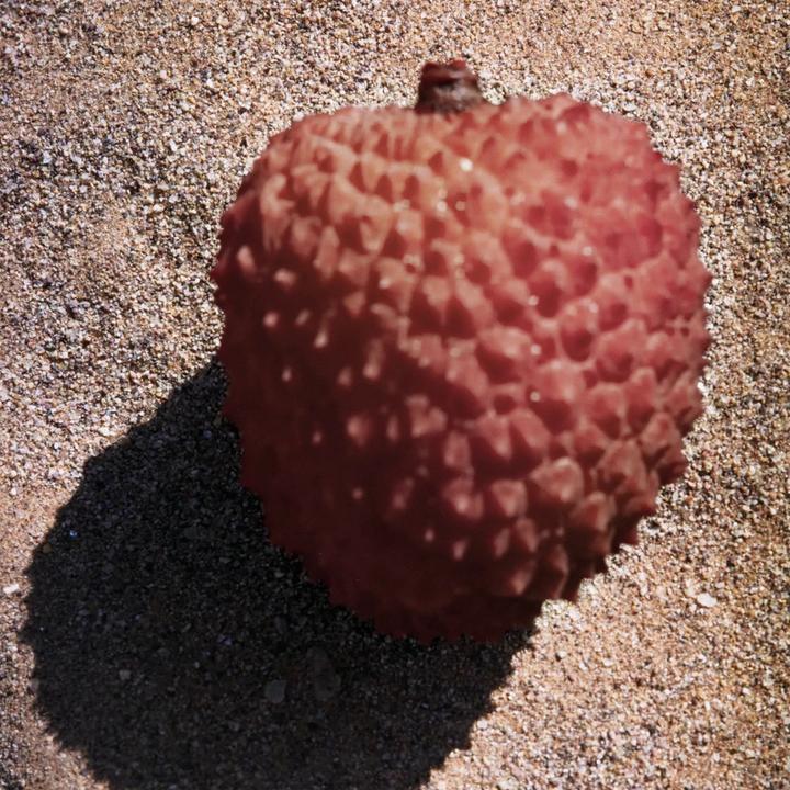 Immagine prodotto Chloé Nomade (Eau de toilette, 50 ml)