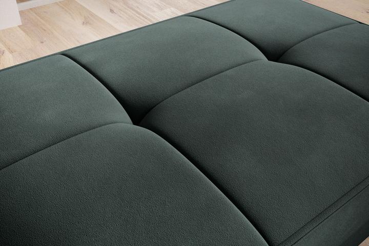 Actual product image ELTAP Bellis