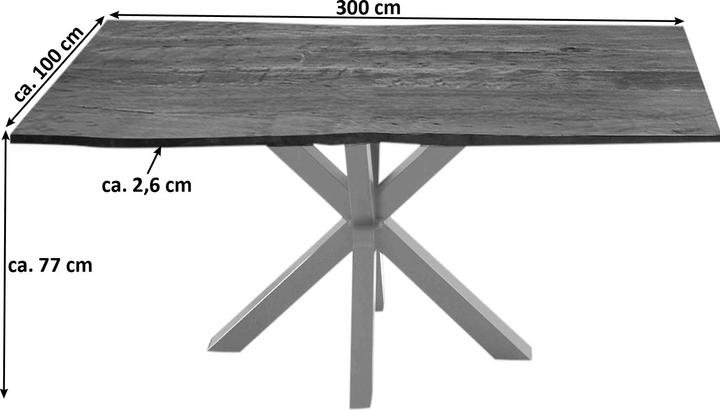 Actual product image SAM Quincy (300 x 100 x 77 cm)