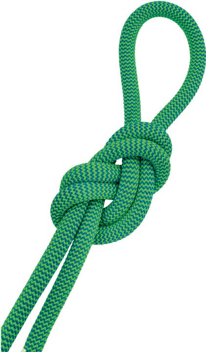 Actual product image Salewa Speed Queen (60 m)