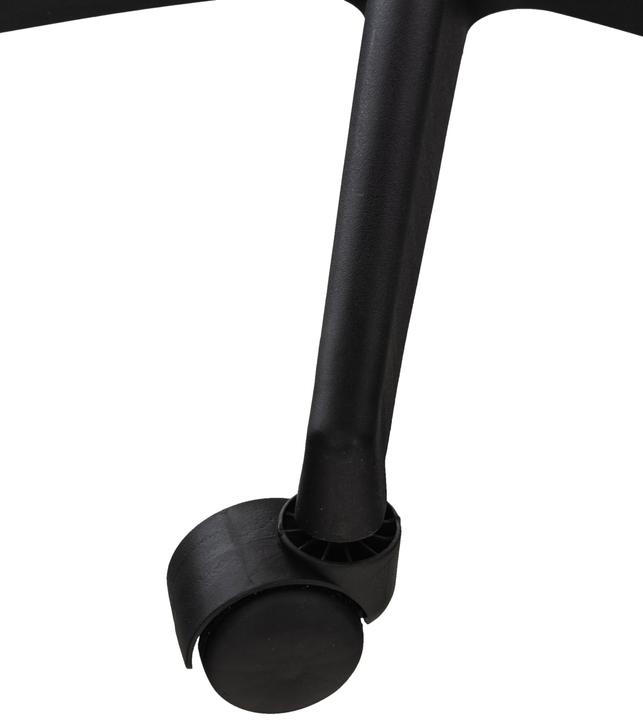 Immagine prodotto CLP Auburn